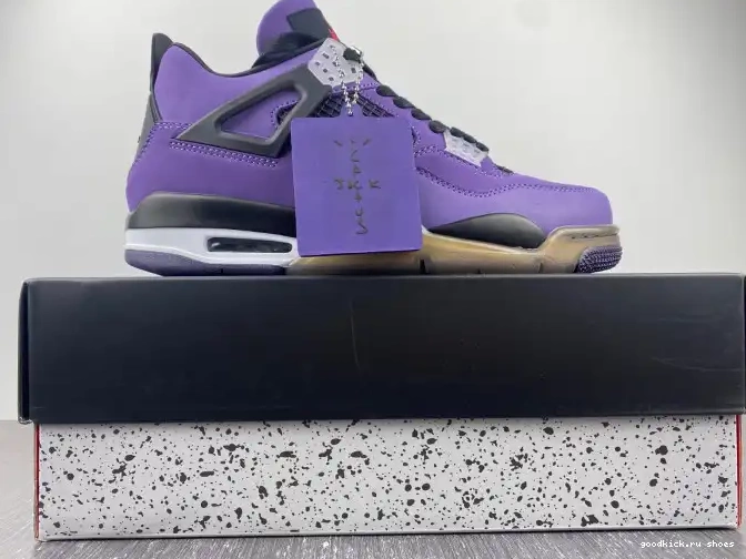 Scott LN4 (Friends and Jordan 4 766296 Retro Family) Purple Travis 0506